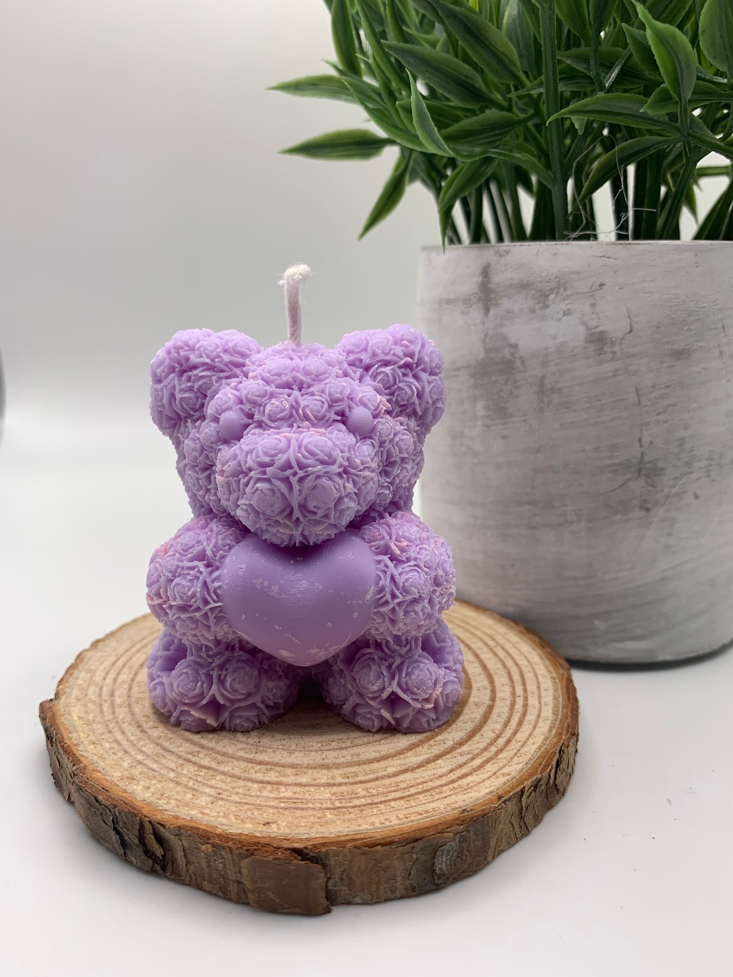 Purple Bear