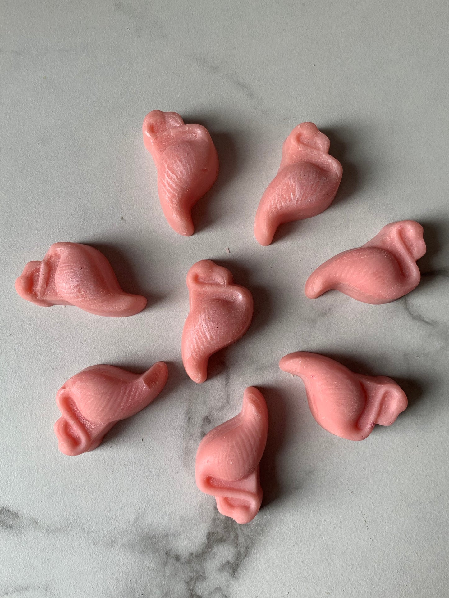 Flamingo Wax Melts
